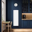 SAUTER - Radiateur inertie fluide Ipala vertical blanc 1000W - vignette
