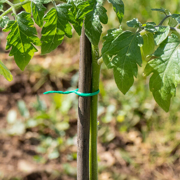ID MARKET - Lien de fixation pour brise vue 30 M - large