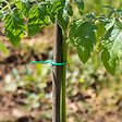 ID MARKET - Lien de fixation pour brise vue 30 M - vignette