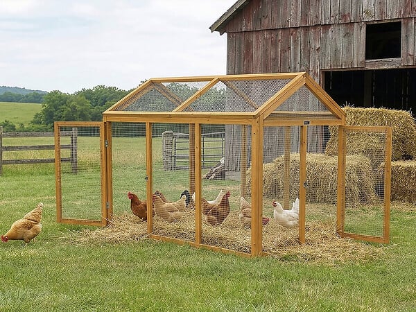 HABITAT ET JARDIN - Enclos extension en bois pour poulailler "Coco" - 6 poules - Marron - large