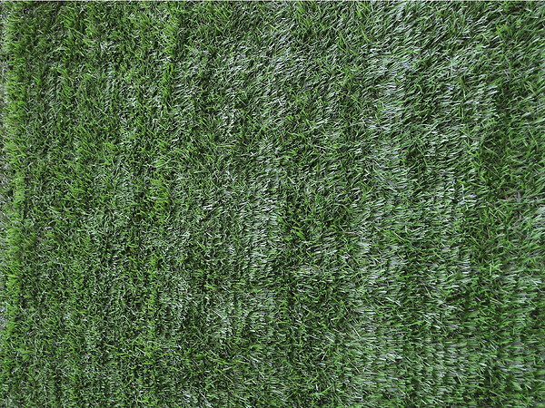 HABITAT ET JARDIN - Haie artificielle - 300 x 150 cm - large