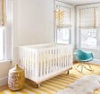 AVOSDIM - Moustiquaire pour Lit Bébé avec Fermeture Zippée - L.120 x H.60cm - vignette