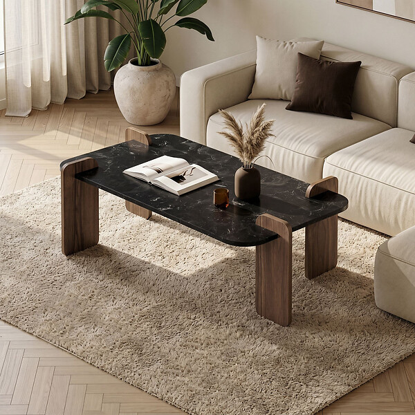 HABITAT ET JARDIN - Table basse en bois "Renard" - 120 x 60 x 35 cm - Noir - large