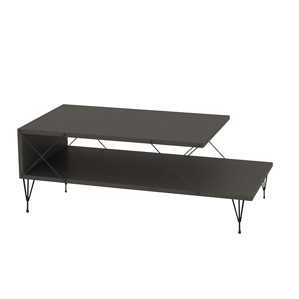 HABITAT ET JARDIN - Table basse en bois "Loire" 100 x 50 x 40 cm - Anthracite - large