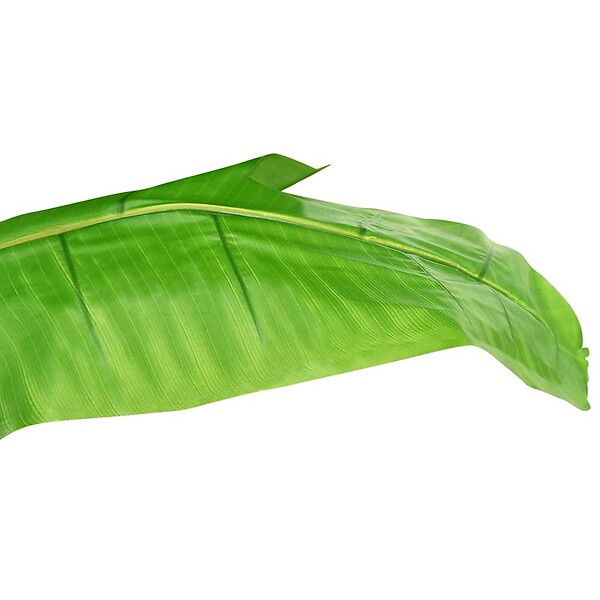 VIDAXL - vidaXL Bananier artificiel avec pot 300 cm Vert - large