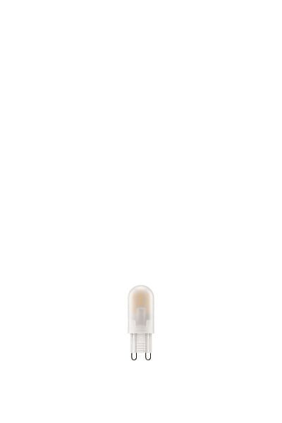 MODE DE VIE - Ampoule LED G9 Capsule - Blanc chaud - Lot de 2 - 2700K - 25W - large