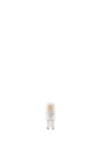 MODE DE VIE - Ampoule LED G9 Capsule - Blanc chaud - Lot de 2 - 2700K - 40W - large