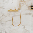 VILLEROY ET BOCH - Flexible de douche  Universal 120 cm Or brossé - vignette