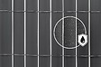 CASANOOV - Casanoov Canisse PVC VISO L.5 m x H.1,8m Gris anthracite - vignette
