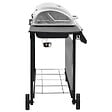 VIDAXL - vidaXL Barbecue gril à gaz avec 6 brûleurs Noir et argenté - vignette