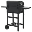 VIDAXL - vidaXL Gril de barbecue au charbon de bois et étagère inférieure Noir - vignette