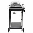 VIDAXL - vidaXL Barbecue au gaz avec 6 zones de cuisson Inox Argenté - vignette
