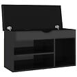 VIDAXL - vidaXL Banc à  chaussures et coussin Noir brillant Bois d'ingénierie - vignette