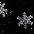 VIDAXL - vidaXL Sapin de Noël et flocons de neige LED Noir 64 cm Fibre optique - vignette