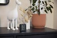 OTIO - Lot de 2 thermomètres hygromètres intérieur + capteur - Noir - Otio - vignette