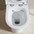 PLANETE BAIN - Pack wc à poser sans bride sortie verticale / vario - FRIENDLY - vignette