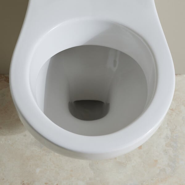 PLANETE BAIN - Cuvette WC suspendu NF avec bride Sydney, abattant simple - large