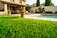 CASANOOV - Casanoov Gazon synthétique PELMO 1m x 10m - 40mm - vignette