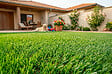 CASANOOV - Casanoov Gazon synthétique PELMO 1m x 10m - 20mm - vignette