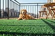 CASANOOV - Casanoov Gazon synthétique ORSO 1m x 15 m - 7mm - vignette