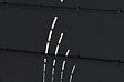 CASANOOV - Casanoov Portail battant acier L.3 m NALI VELETA H.120  cm noir mat - vignette