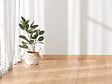 MODE DE VIE - Plinthe hêtre 14x58x2400mm pefc 70% - vignette