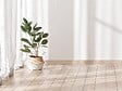 MODE DE VIE - Plinthe cadus 14x58x2400mm pefc 70% - vignette