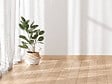 MODE DE VIE - Plinthe carrassius 14x58x2400mm pefc 70% - vignette