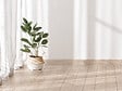 MODE DE VIE - Plinthe k418 chene longbow 14x58x2400mm pefc 70% - vignette
