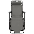 VIDAXL - vidaXL Chaises longues pliables 2 pcs avec repose-pied Acier Gris - vignette