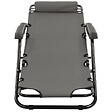 VIDAXL - vidaXL Chaises longues pliables 2 pcs avec repose-pied Acier Gris - vignette
