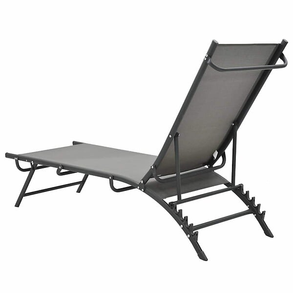VIDAXL - vidaXL Chaises longues lot de 2 Textilène et acier - large