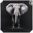 ATMOSPHERA - Toile imprimée éléphant 100x100cm - vignette