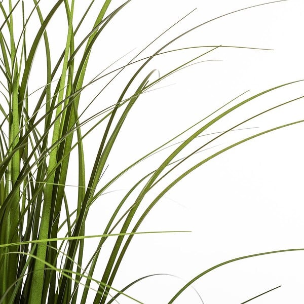 ATMOSPHERA - Plante artificielle Bouquet d'Herbes en pot H 50 cm - large