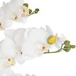 ATMOSPHERA - Plante artificielle Orchidée dans Pot en céramique blanche H 62 cm - vignette