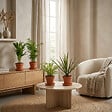 BLOOMIQUE - Lot de 4 - Mélange dépolluant - Dracaena, Dypsis, Chamaedorea, Chlorophytum - H. 20-40 cm - P. 12 cm - vignette