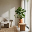 BLOOMIQUE - Monstera Deliciosa - Monstera - Plantes d’intérieur - Dépolluante - H. 70-80 cm - P. 21 cm - vignette