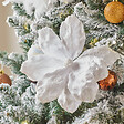 FEERIC LIGHTS & CHRISTMAS - Fleur de Noël magnolia enneigée 21 cm - vignette