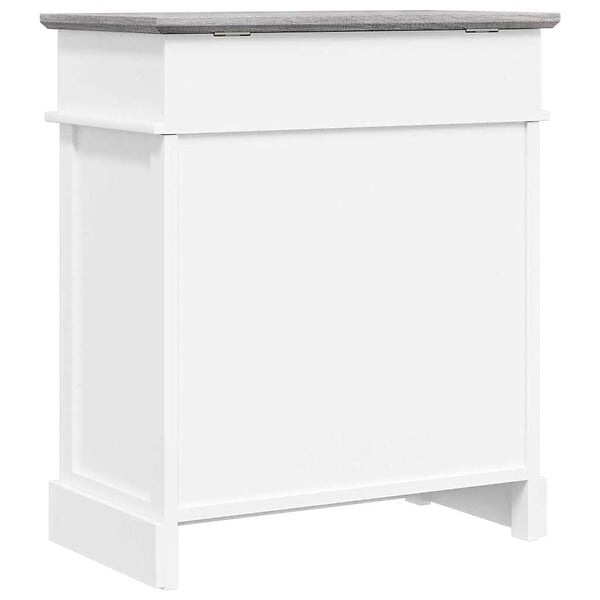 VIDAXL - vidaXL Armoire à  chaussures Gris 50 x 28 x 58 cm Bois de Paulownia - large