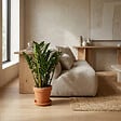 BLOOMIQUE - Zamioculcas Zamiifolia - Zamioculcas - Plante d’intérieur - Dépolluante - H. 70-90 cm - P. 21 cm - vignette