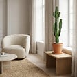 BLOOMIQUE - Euphorbia Acrurensis - Euphorbe - Cactus cowboy - Plante cactus - H. 100-120 cm - P. 24 cm - vignette
