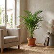 BLOOMIQUE - Howea Forsteriana - Palmier Kentia - Plantes d’intérieur - Dépolluante - H. 80-100 cm - P. 19 cm - vignette