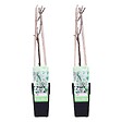 BLOOMIQUE - Lot de 2 - Wisteria floribunda 'Alba' - Glycine blanche - H. 50-70 cm - P. 15 cm - vignette