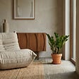 BLOOMIQUE - Zamioculcas Zamiifolia - Palmier d'intérieur - Zamioculcas - H. 30-40 cm - P. 12 cm - vignette
