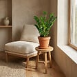 BLOOMIQUE - Zamioculcas Zamiifolia - Zamioculcas - Plante d’intérieur - Dépolluante - H. 50-60 cm - P. 17 cm - vignette