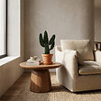 BLOOMIQUE - Opuntia Rubescens - Cactus raquette - Cactus d’intérieur - Hauteur 20-30 cm - Pot 12 cm - vignette