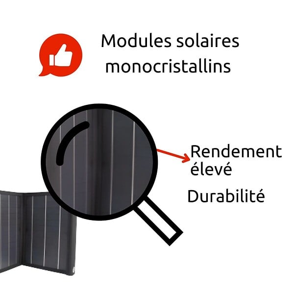 PROTEC - Panneau solaire portatif pliable SolarTec 60 - 60W 18V 3,3A - 6 pans monocristallins - Port USB A/C - Câble DC - Protec - large