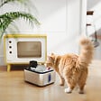 PAWHUT - Fontaine à eau pour chat 5L filtration 3 étapes charge USB câble + nombreux accessoires inclus acier inox - vignette