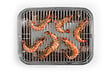 BARBECOOK - Barbecue nomade - Carlo Urban - Gris - 6 pers. - vignette