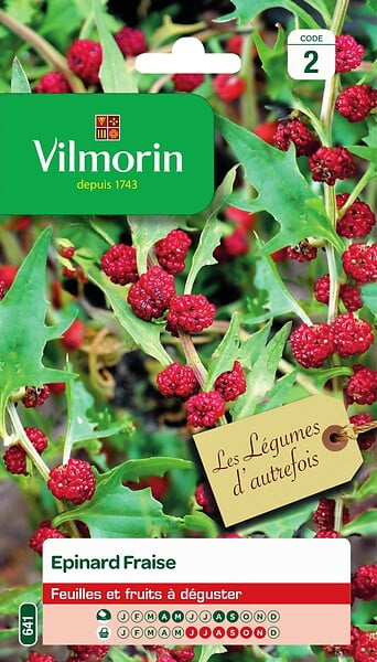 VILMORIN - Epinard fraise legumes d'autrefois Vilmorin - large